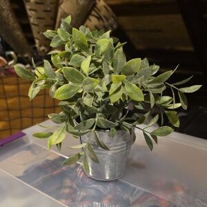 Greenery in Silver Pot - Home Accent